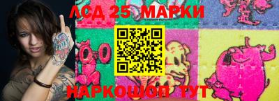 мет Кингисепп