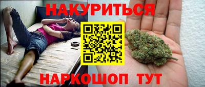 мет Кингисепп