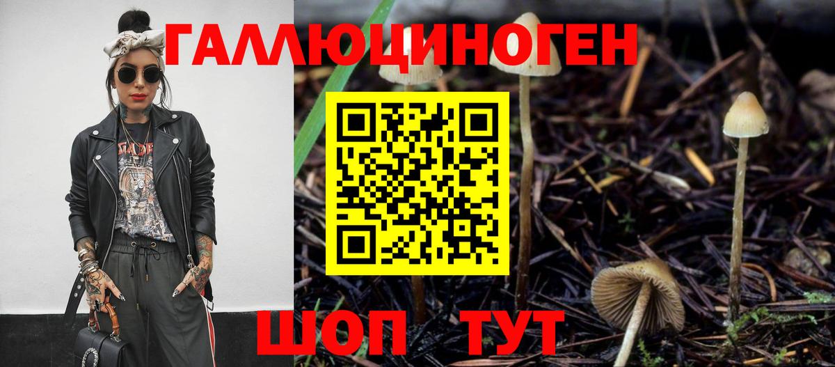 Псилоцибиновые грибы MAGIC MUSHROOMS  Вход с VPN  Георгиевск 