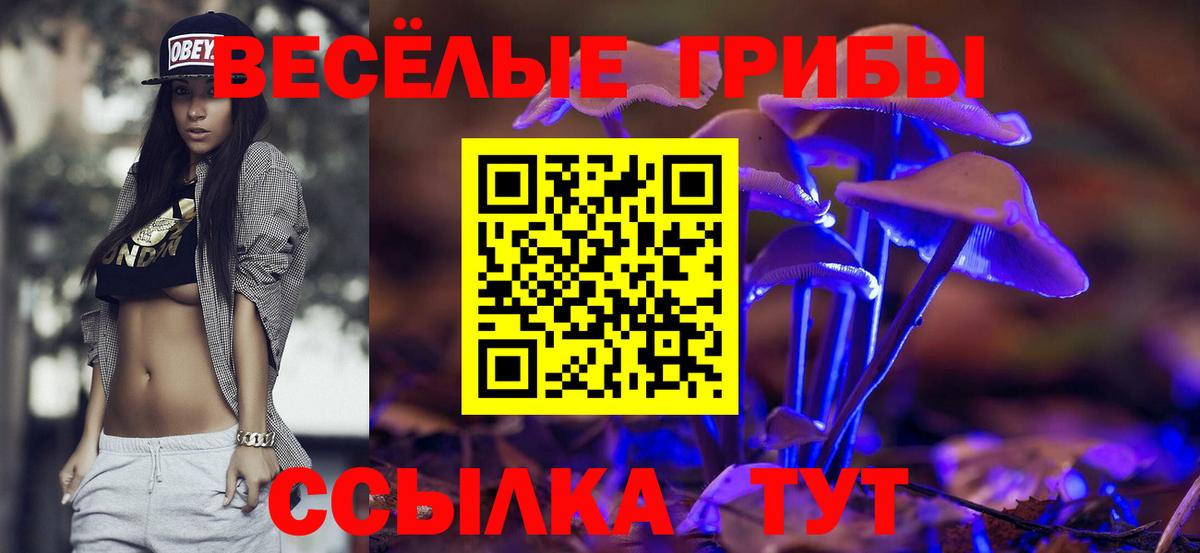 Псилоцибиновые грибы Magic Shrooms Георгиевск