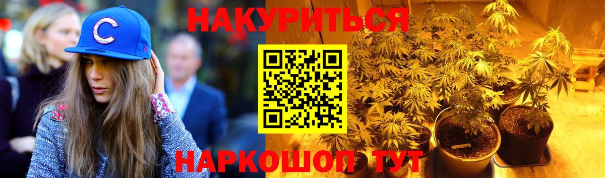 Шишки марихуана конопля  Вход с VPN  Конопля OG Kush  Георгиевск 